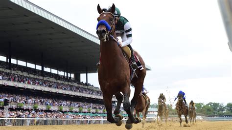 2022 Breeders' Cup: All You Need to Know Ahead of .